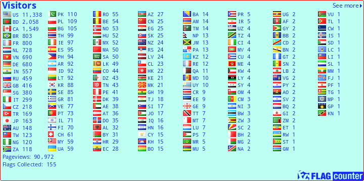 Flag Counter